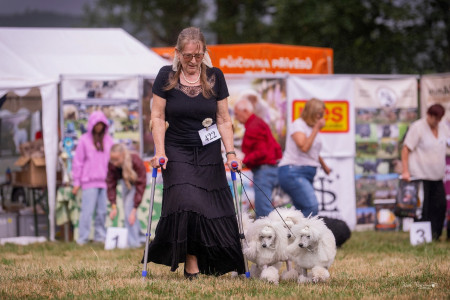 Skupina Dorly Snowflake Fell Harrington, Diadem a Jutta